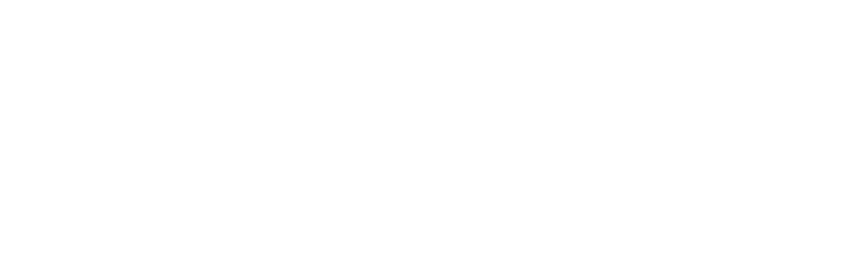 Execelion Solutions
